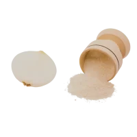 Cebolla en Polvo