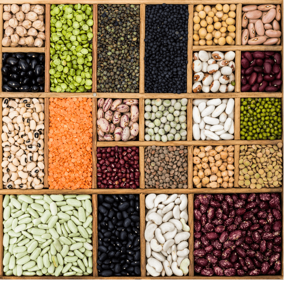 Legumbres