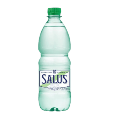 Agua Salus Sin Gas 600ml
