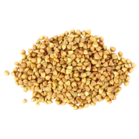 Trigo Sarraceno