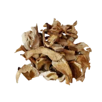 Hongos Secos